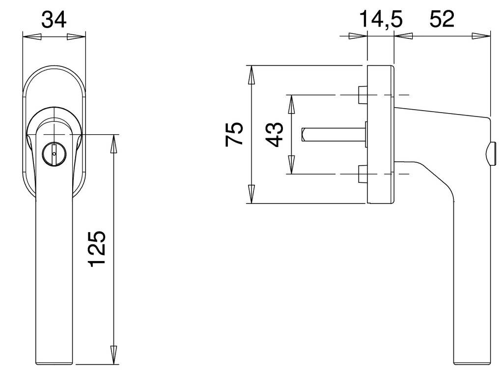 EDI 1010 JANUS RAAMKRUK IN RVS