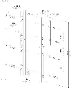 SFKO-V-5060-both.webp