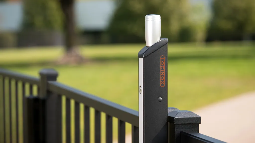 FORTIMA_AtDogPark_1_CloseUp__RGB_1920x1080px.webp