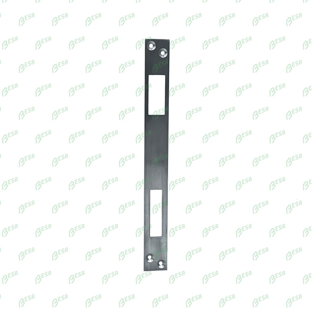 [TYPE2] DYLA TYPE 2 SLUITPLAAT VOOR ROLSLOT 74A