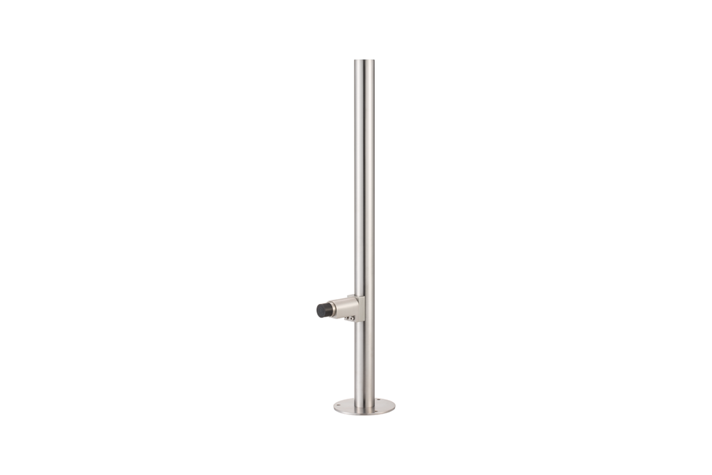 [KWS 2920.02, H 300 mm, X] KWS 2920 DEURSTOPPER OP PAAL (Zilver gelakt, 300)